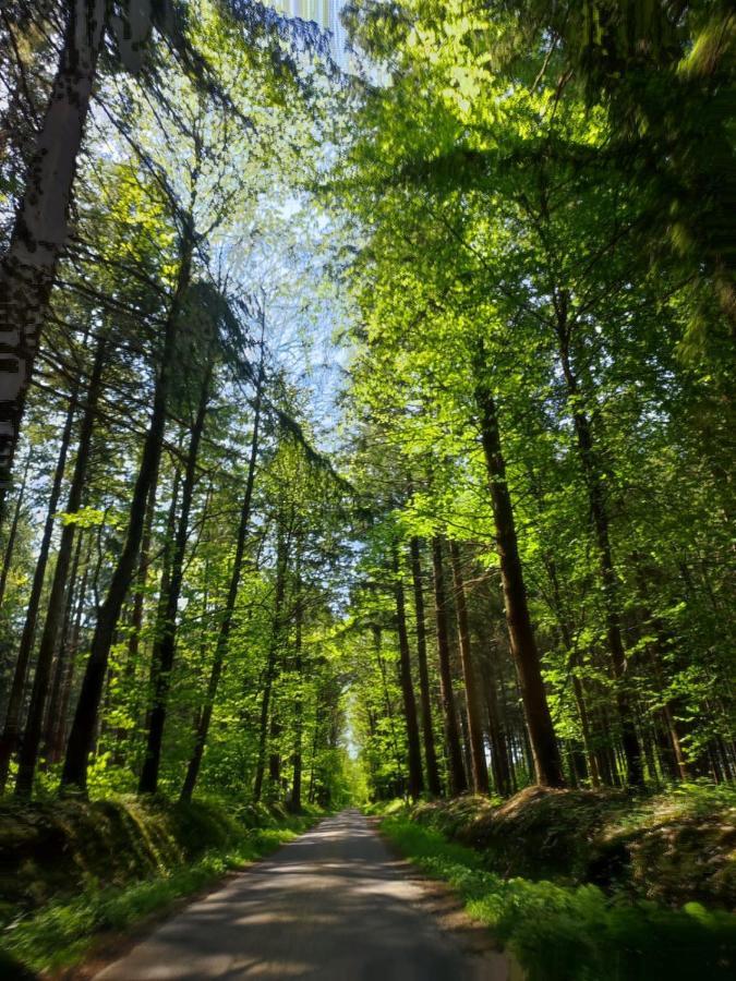 Gite Les Tongs Des Pres, Au Coeur Du Parc Normandie Maine Livaie Exterior foto